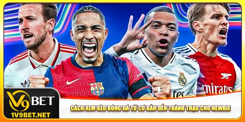 cach-xem-keo-bong-da-tu-co-ban-den-thanh-thao-cho-newbie