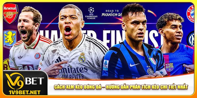 Cách xem kèo bóng đá từ cơ bản đến thành thạo cho newbie