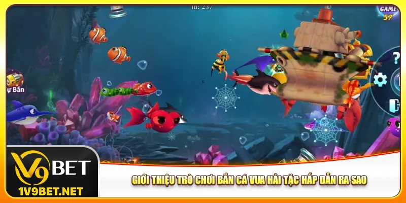 Giới thiệu trò chơi bắn cá Vua Hải Tặc hấp dẫn ra sao