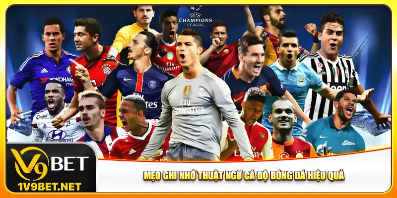 Mẹo ghi nhớ thuật ngữ cá độ bóng đá hiệu quả