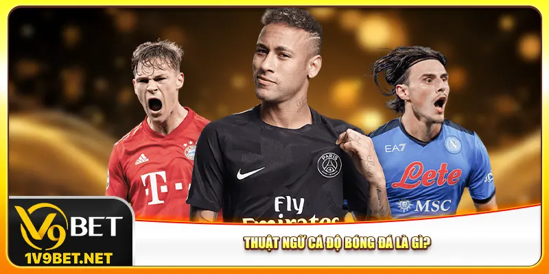 Thuật ngữ cá độ bóng đá là gì?