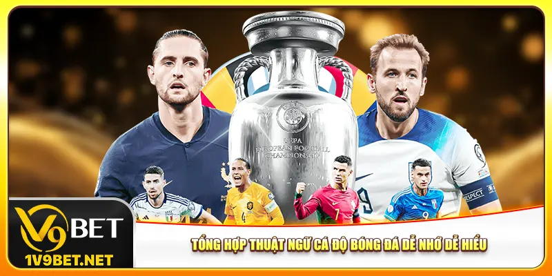 Tổng Hợp Thuật Ngữ Cá Độ Bóng Đá Siêu Dễ Nhớ Dễ Hiểu